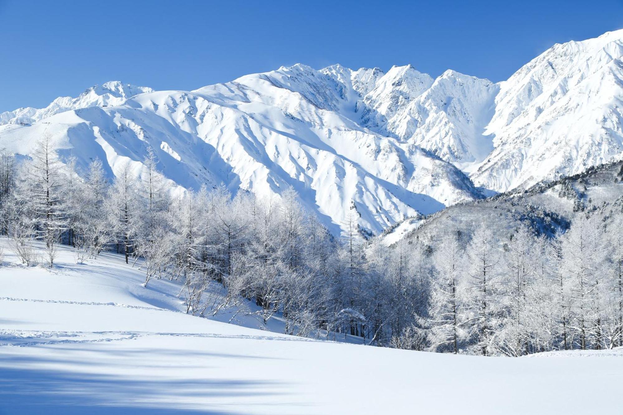 Hakuba Hatago Maruhachi Екстериор снимка
