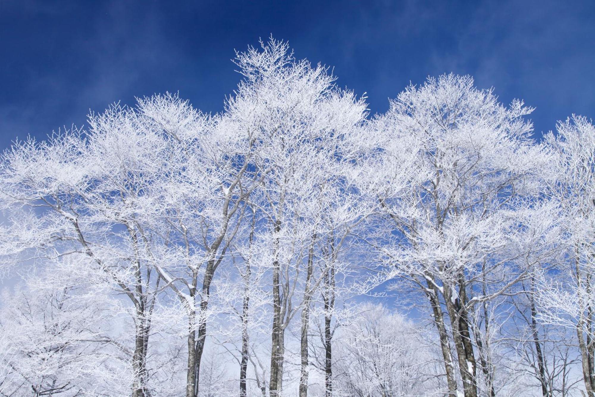 Hakuba Hatago Maruhachi Екстериор снимка
